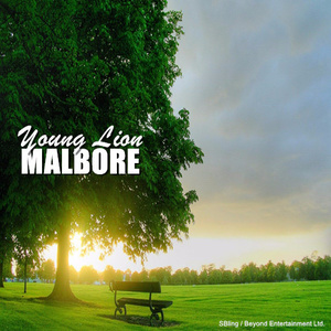 Malbore