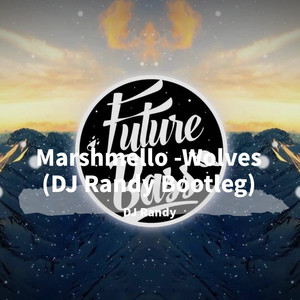 Selena Gomez-Wolves (DJ Randy Bootleg|DJ Randy Remix)