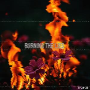 burning the lies