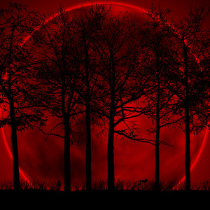 Запись на стене