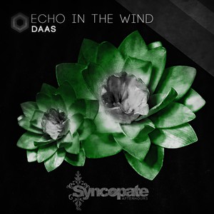 Echo In The Wind (Original Mix)