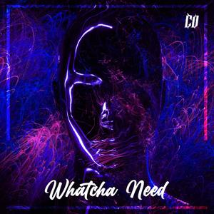 Whatcha Need (Explicit)