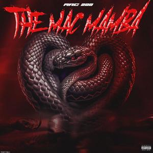 The MaC Mamba (Explicit)