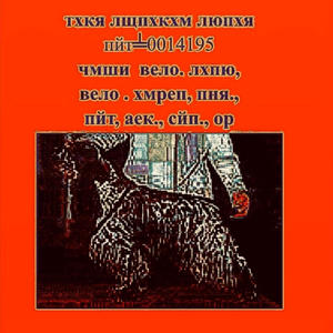 TERRA INCOGNITA (feat. MOYA, ICOMB, Ekerman & kuche kuche)