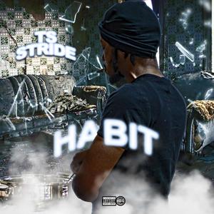 Habit (Explicit)