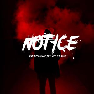 Notice (feat. Snipe Da Silva & Neroknight) [Explicit]