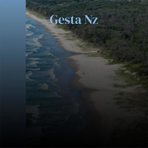 Gesta Nz