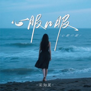 心服口服 (DJ版)