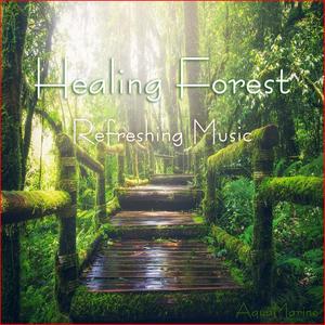 Healing Forest(Refreshing Music)