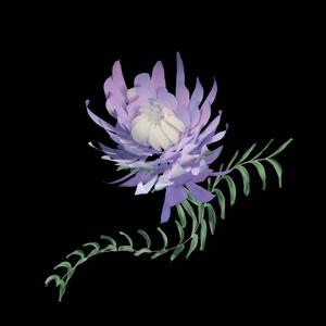 Something to Believe