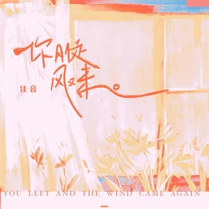 你刚走风又来 (佳音版)