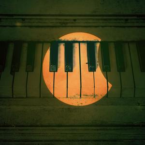 Life Through a Window