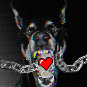 Amor de perros (Explicit)