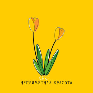 Неприметная красота