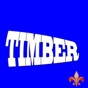 Timber (伴奏)