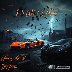 Do What I Want (feat. ItsGottiii) (Explicit)