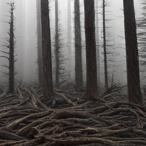 IK (feat. OneK & P4K Zae) (Explicit)