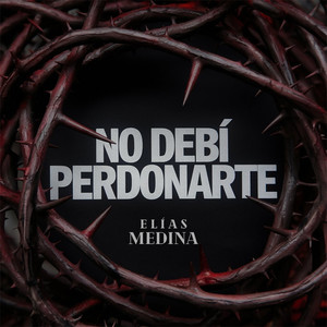 No Debi Perdonarte