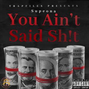 You Ain't Said **** (Explicit)