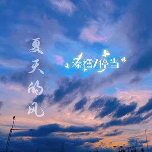 夏天的风