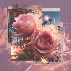 Sun on the Floorboards