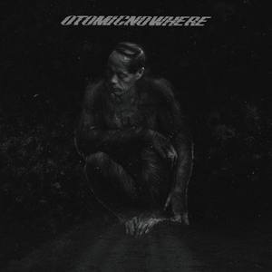 窦唯-高级动物 (OTOMIC Remix)