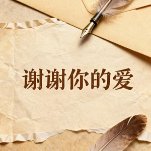 谢谢你的爱 (超燃版)