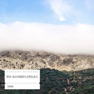 野哥 - 南方的暖阳不会照在北方