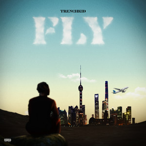 FLY (Explicit)