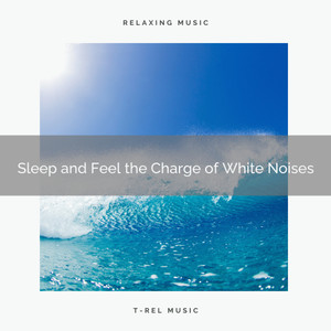 Sleep and Feel the Charge of White Noises