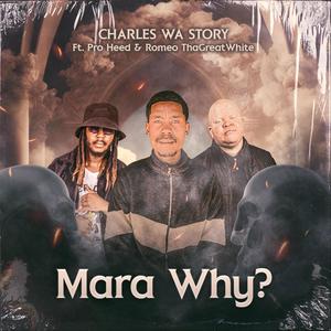 Mara Why? (feat. Pro Heed & Romeo ThaGreat White) (Explicit)
