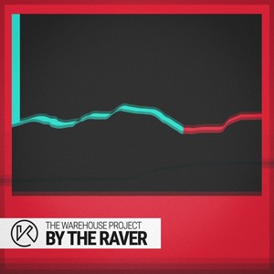 By the Raver (Like This Mix)