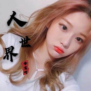 夏天的风 (DJ版)