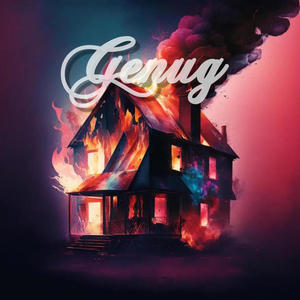 Genug (feat. Hmo386) [Explicit]