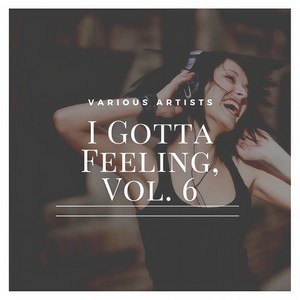 I Gotta Feeling, Vol. 6