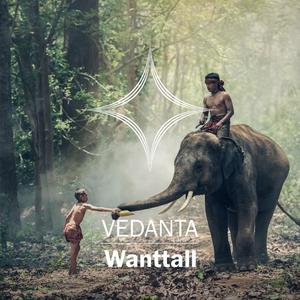 Vedanta (Original Mix)