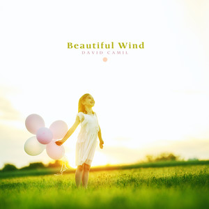 Beautiful Wind