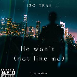 He won't (not like me) [Explicit]