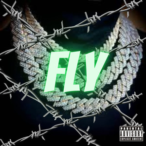 FLY (Explicit)