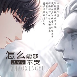 怎么能够不哭 (伴奏)