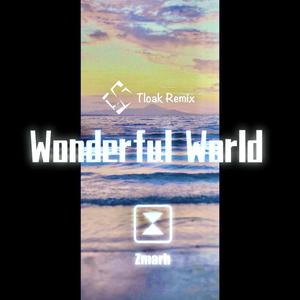 wonderful World（Tloak Remix）