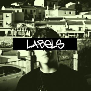 LABELS (Explicit)