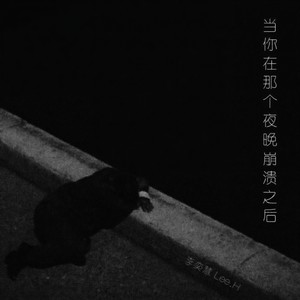 当你在那个夜晚崩溃之后