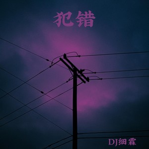 犯错 (DJ细霖版)