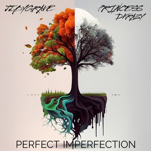 Perfect Imperfection