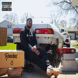 Adjustable Coilovers (Explicit)