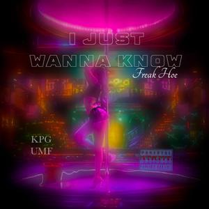 I Just Wanna Know (Freak Hoe) (Explicit)