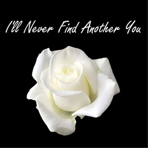 I'll Never Find Another You
