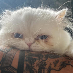 Blow (feat. Dipstick) (Lon Lon's 909 Edit)