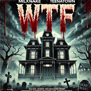 wtf (feat. teenatown) (Explicit)